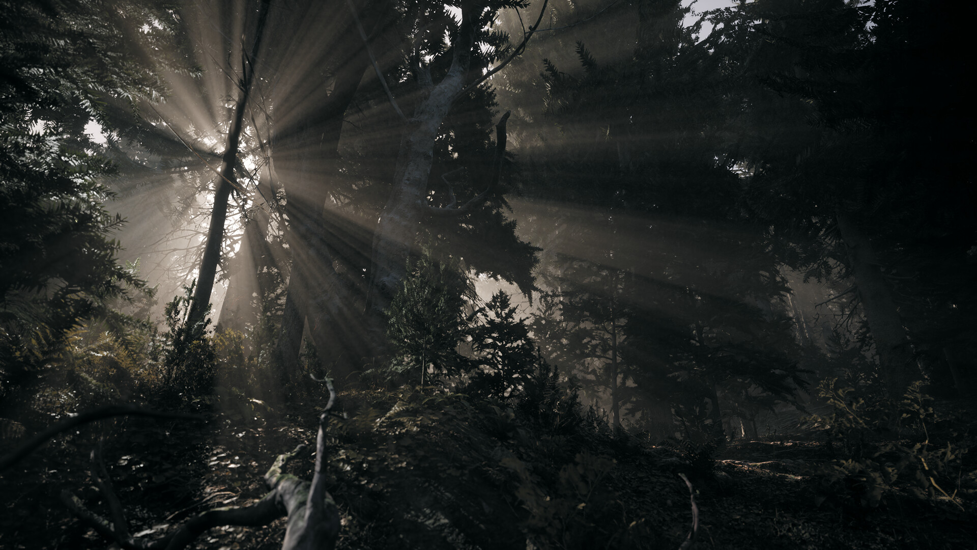Nature of Dread screenshot of light rays breaking through a dark northern forest.
